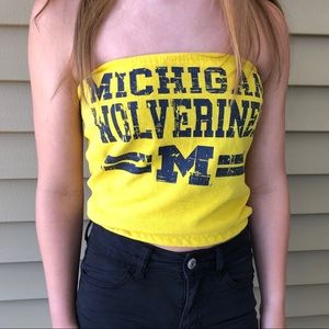 University of Michigan Tube Top